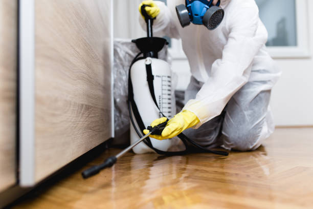 Best Emergency Pest Control  in Delevan, NY