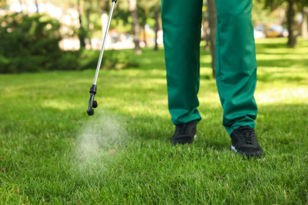 Best Pest Prevention Services  in Delevan, NY