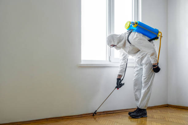 Best Residential Pest Control  in Delevan, NY