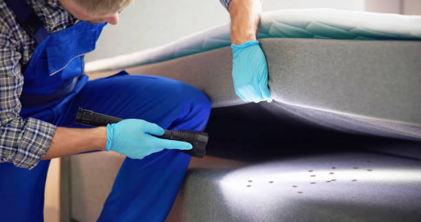 Best Best Pest Control Companies  in Delevan, NY