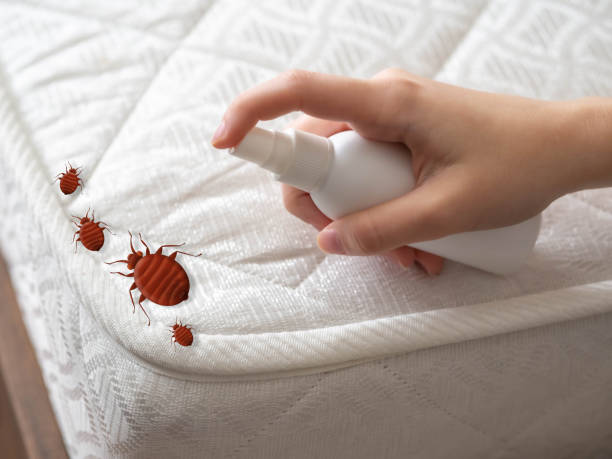 Best Flea Control Services  in Delevan, NY